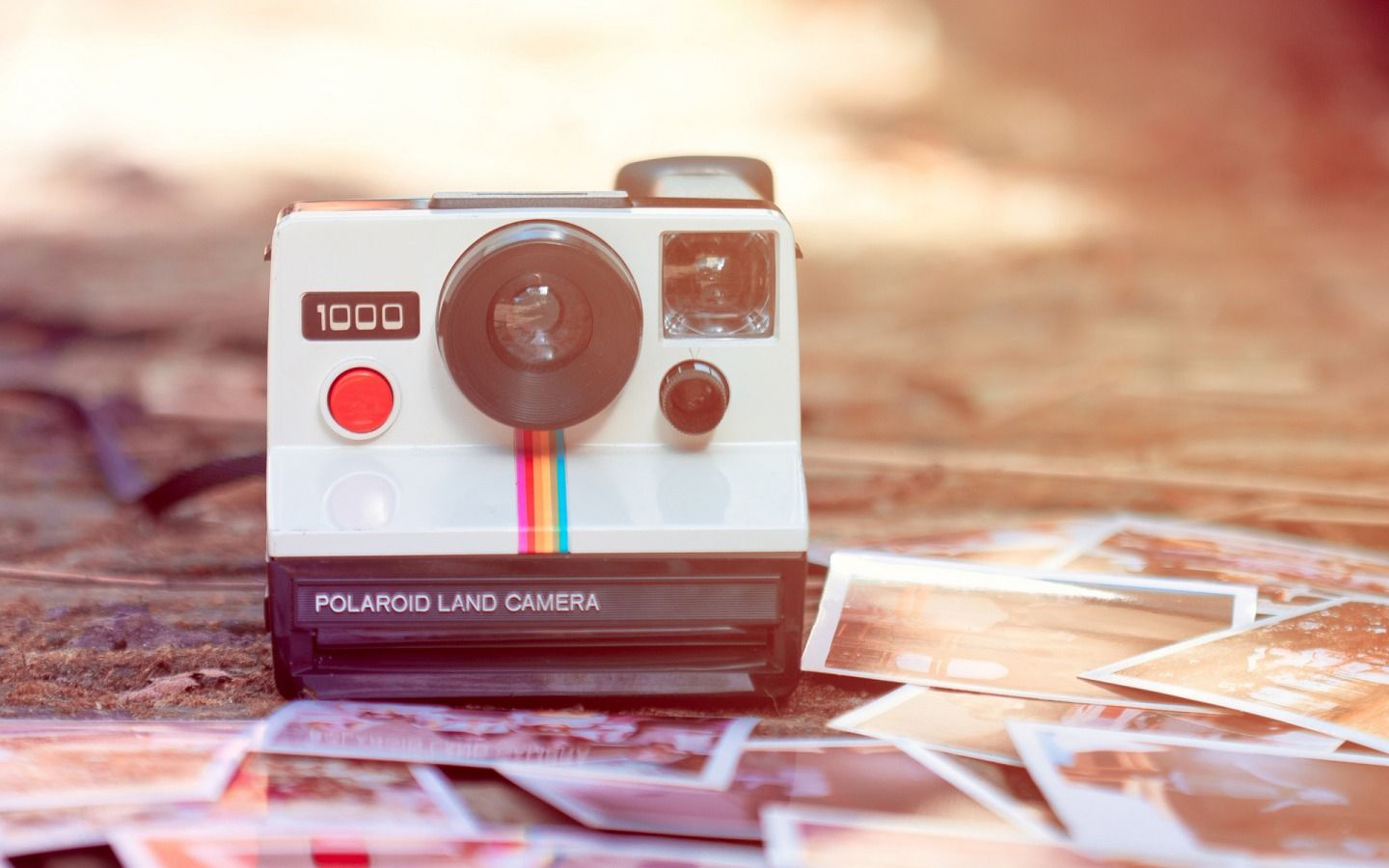 Polaroid Membership